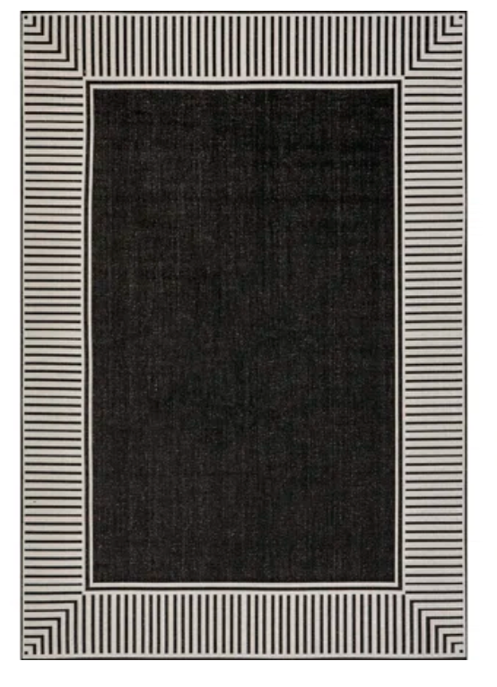 Antamo Simple Border Indoor/Outdoor Area Rug 5X8